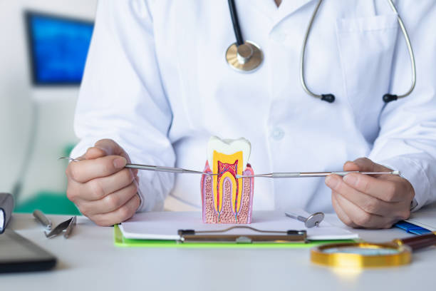 Best Root Canal Emergency Dentist  in Leisuretowne, NJ